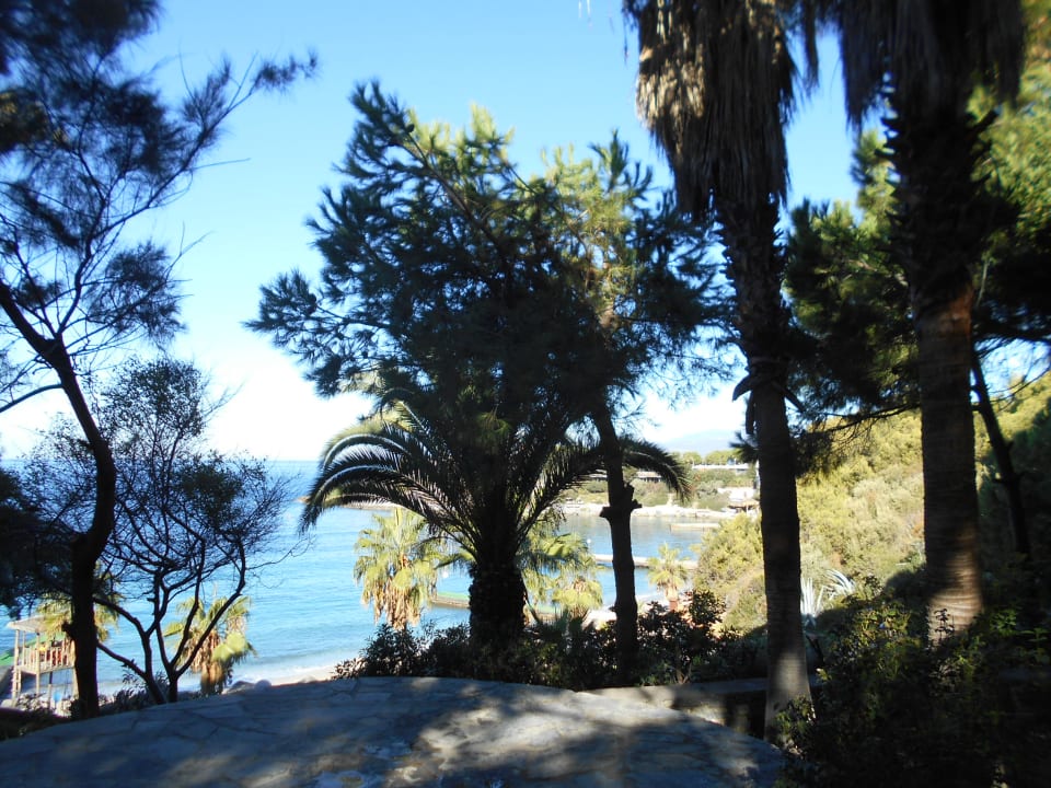 Ausblick Hotel Pine Bay Holiday Resort