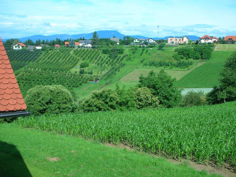 Blick aus dem Fenster Lammer Appartement