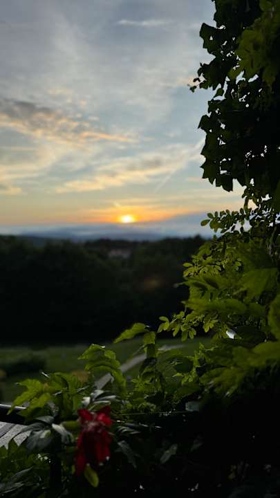 Ausblick Hotel & Spa Der Steirerhof Bad Waltersdorf