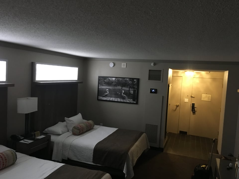Zimmer Palace Casino Resort Suites