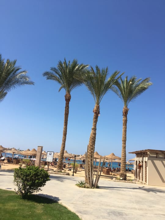 Gartenanlage Iberotel Makadi Beach