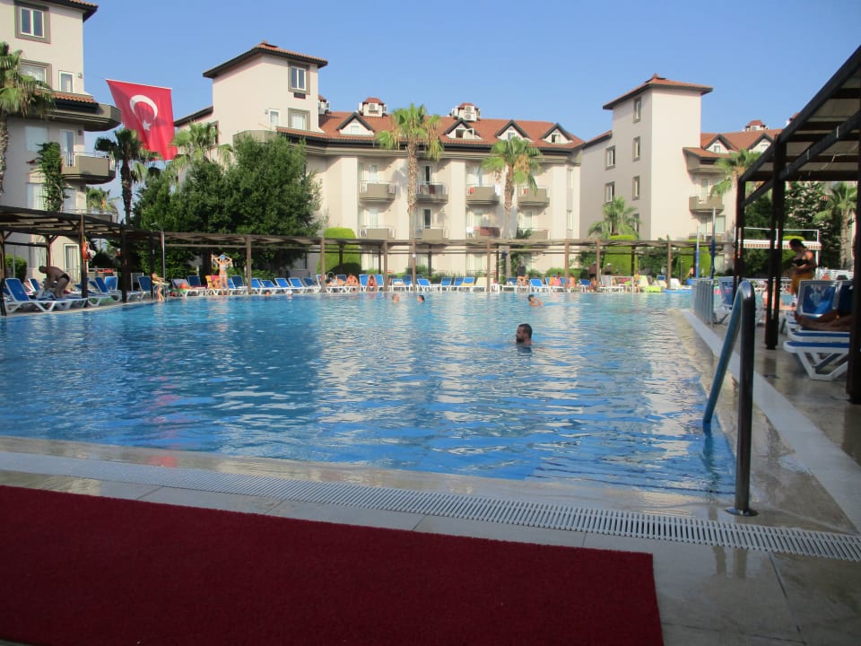 Pool Hotel Orfeus Park