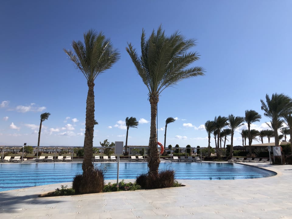 Pool Steigenberger Alcazar