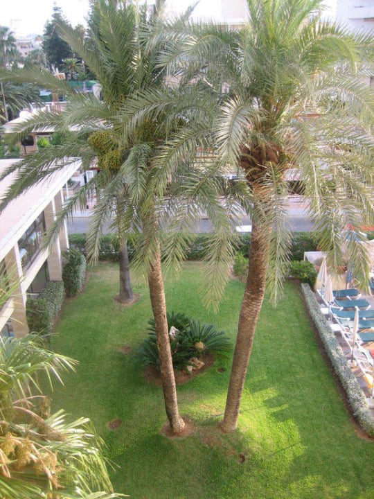 Gerader Blick vom Zimmer allsun Hotel Bahia del Este