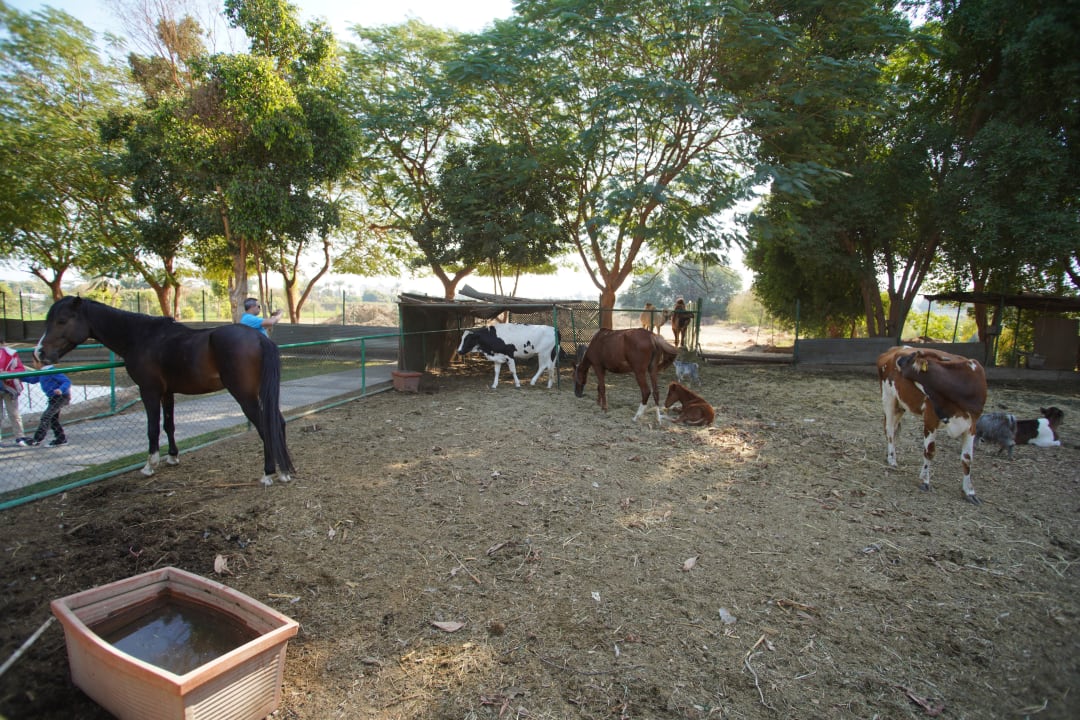 Gartenanlage Jolie Ville Kings Island Luxor