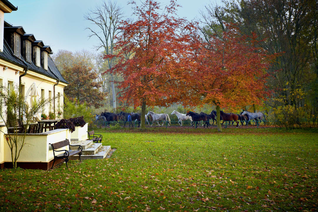 Gartenanlage Dworek Bielin