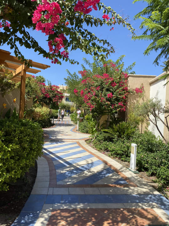Gartenanlage Atrium Palace Thalasso Spa Resort & Villas