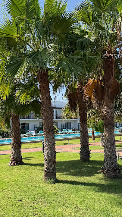 Außenansicht Meliá Laguna Beach