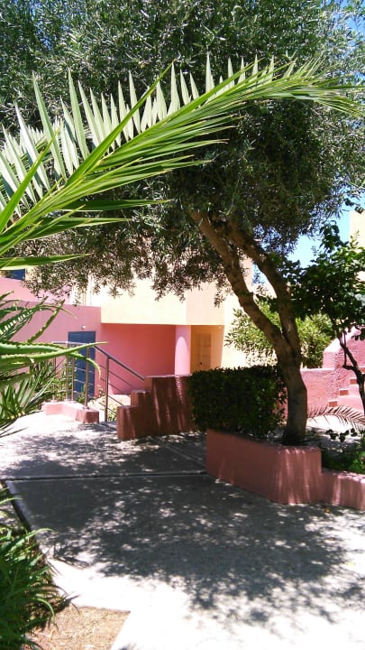 Bungalow bliżej kortu Dessole Dolphin Bay Resort