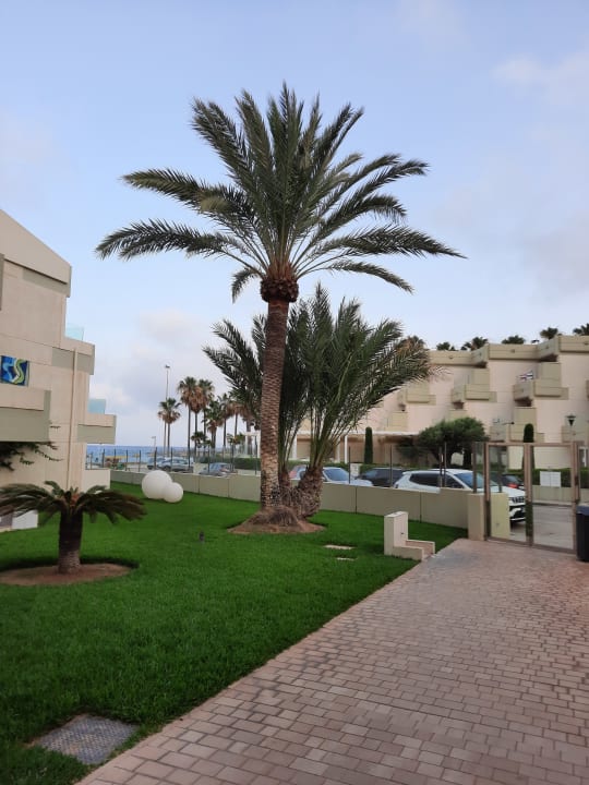 Gartenanlage Hipotels Mediterraneo Club