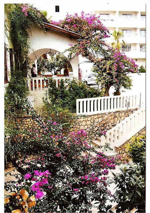 Herzlich Willkommen Alara Hotel