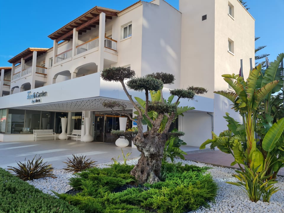 Außenansicht Alcudia Garden Aparthotel