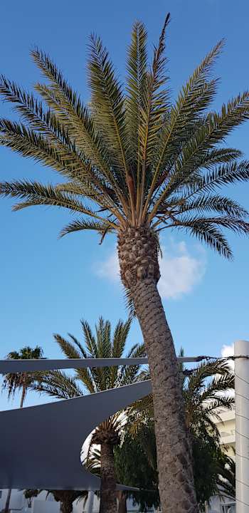 Sonstiges LABRANDA Golden Beach