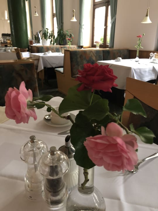 Gastro Stadthotel Freiburg Kolping Hotels & Resorts
