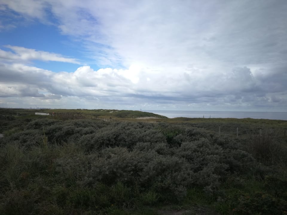 Ausblick Roompot Vakantiepark Kijkduin