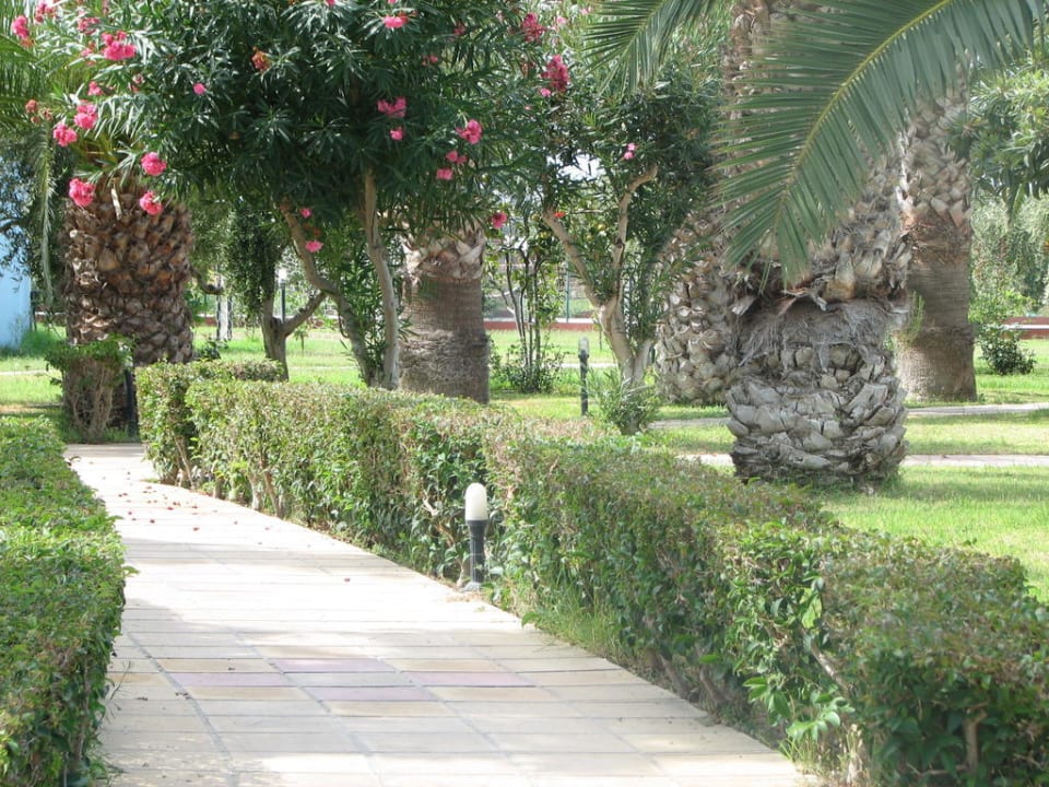 Gartenanlage Corali Hotel