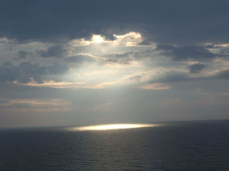 Sonnenaufgang morgens um kurz vor 8h Berlin Green Park