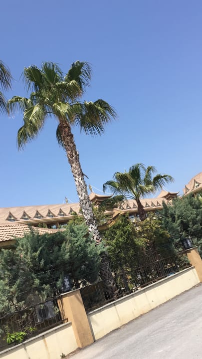 Außenansicht Well Palace Side