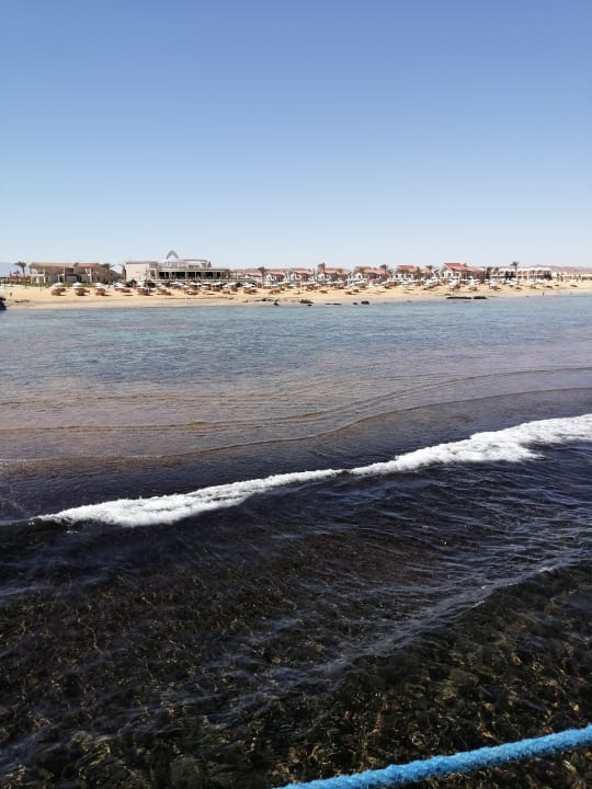 Strand Pickalbatros Sea World Resort - Marsa Alam