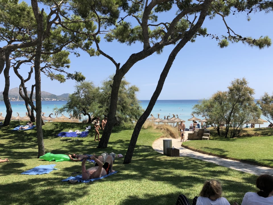 Gartenanlage Iberostar Waves Playa de Muro