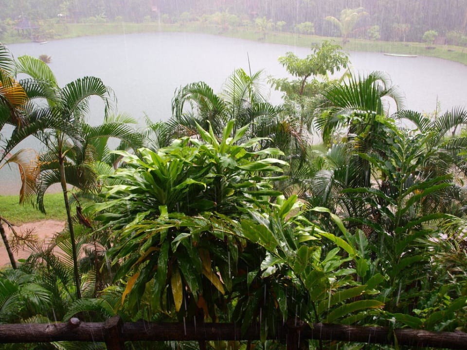 Blick von der Terrasse auf See bei Regen Kuraburi Greenview Resort