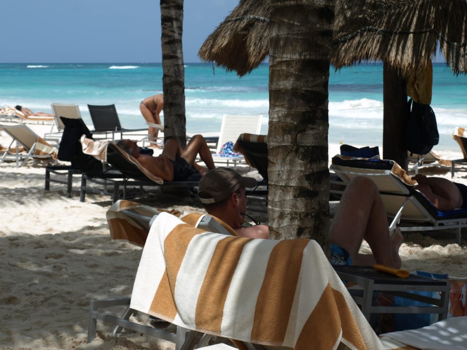 Genügend Schattenplätze am Strand Catalonia Royal Tulum Beach & Spa Resort - Adults only