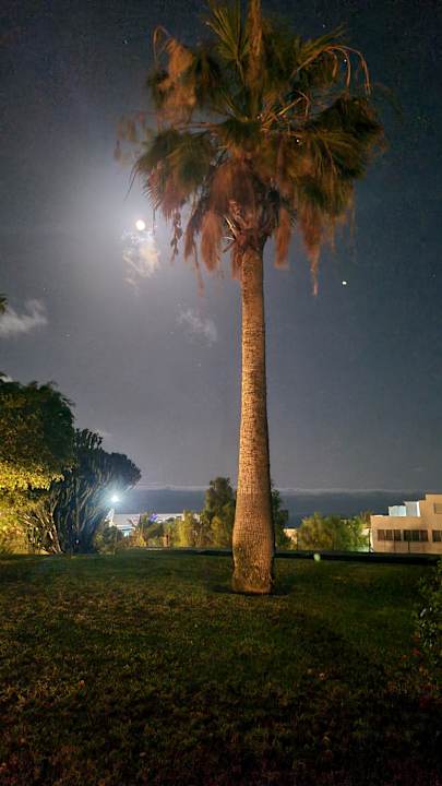 Gartenanlage allsun App.-Hotel Esquinzo Beach