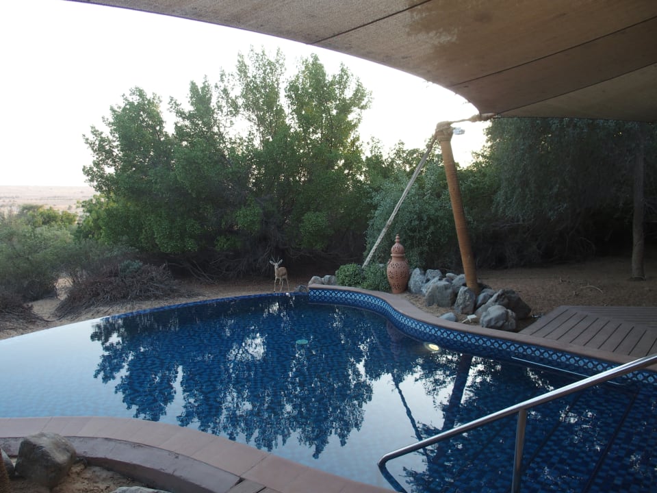 Zimmer Al Maha, A Luxury Collection Desert Resort & Spa