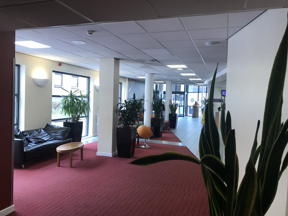 Lobby Pendulum Hotel