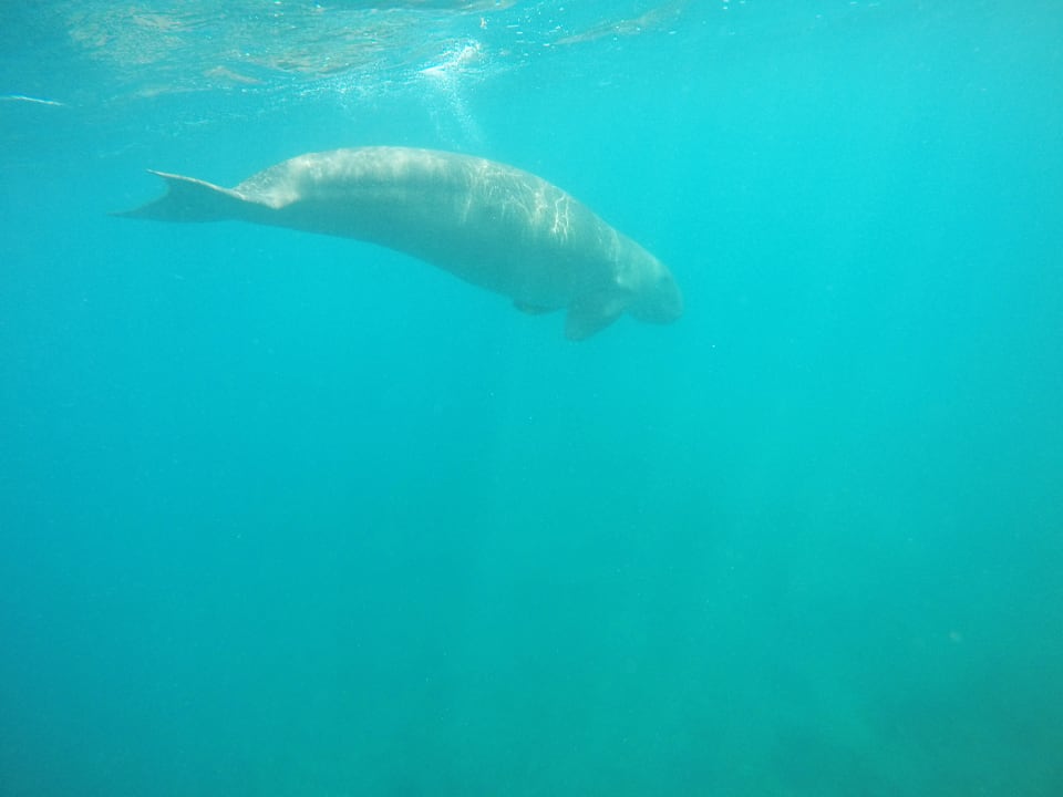 Sport & Freizeit Three Corners Equinox Beach Resort