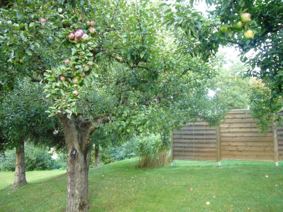 Right view Hotel Staberhof