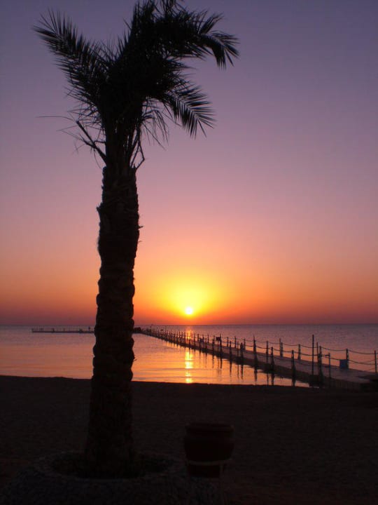 Sonnenaufgang am Strand Pickalbatros Palace Resort