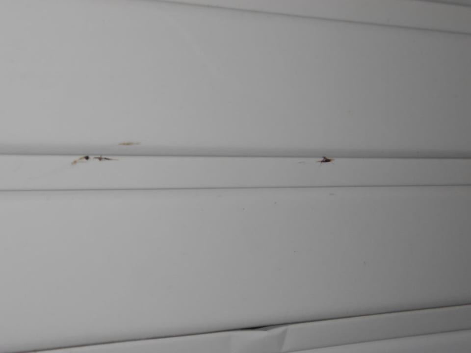 Blutige Decke von den Mücken Hotel Golden Odyssey