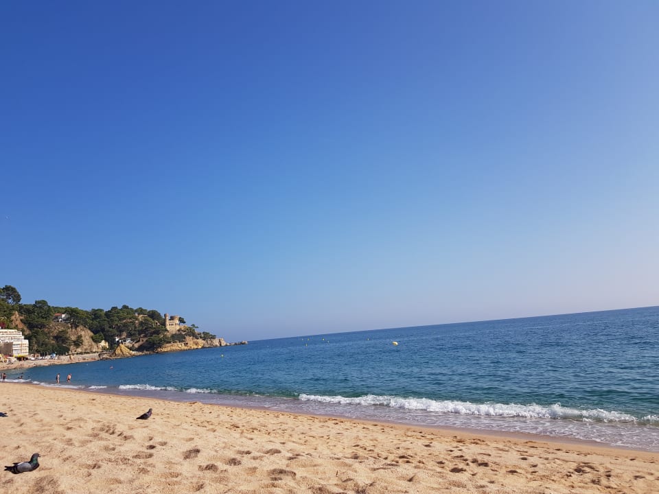 Strand Hotel Alba Seleqtta