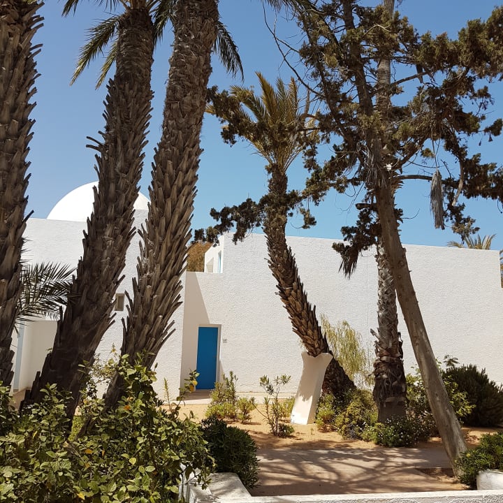 Gartenanlage Hotel El Mouradi Djerba Menzel