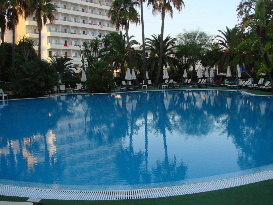 Pool Hipotels Said  Hotel