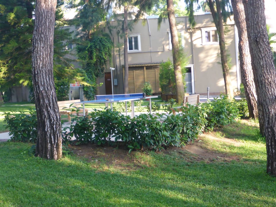 Schöne und saubere Gartenanlage Club Sidelya Hotel