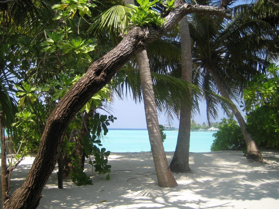 Noch Fragen? Villa Park Sun Island