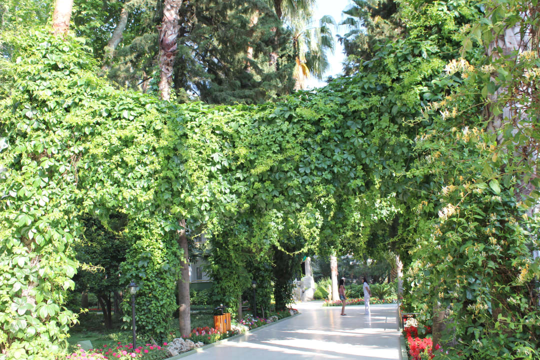 Super Botanik Botanik Hotel & Resort