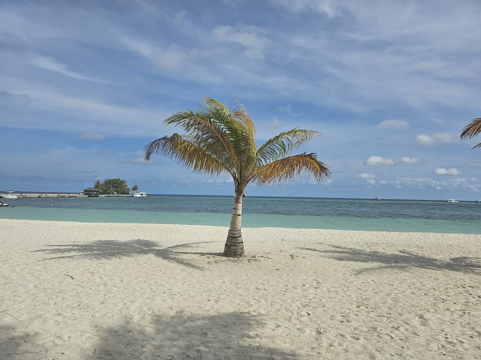 Ausblick Kuredu Island Resort & Spa