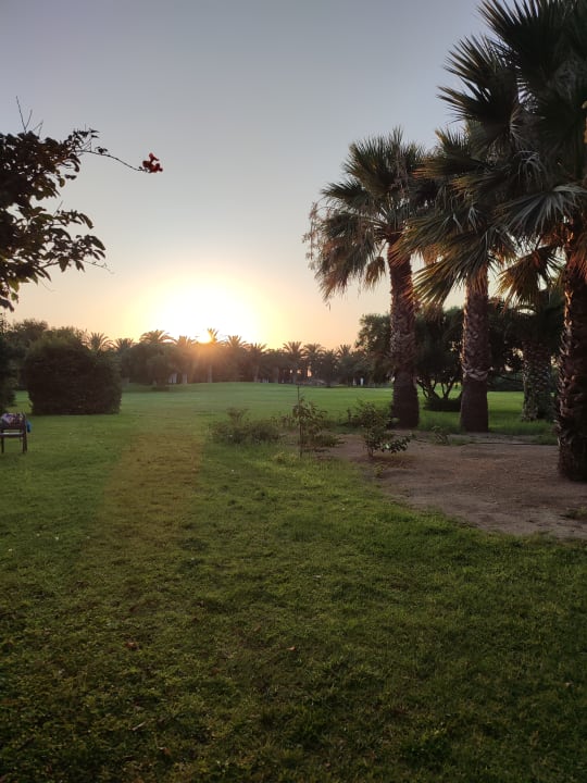 Gartenanlage Caravia Beach Hotel