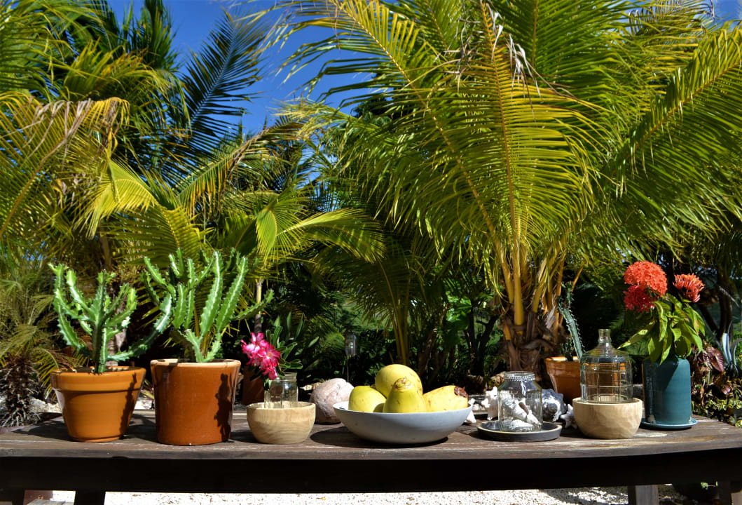 Gartenanlage Jan Kok Lodges