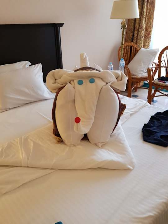 Zimmer Moreno Horizon Spa & Resort