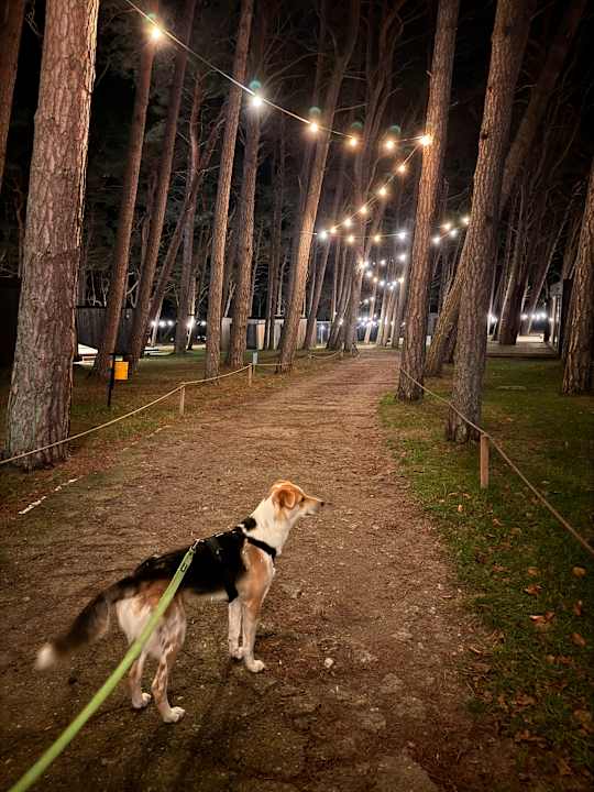 Außenansicht Ustronie Park - beach resort