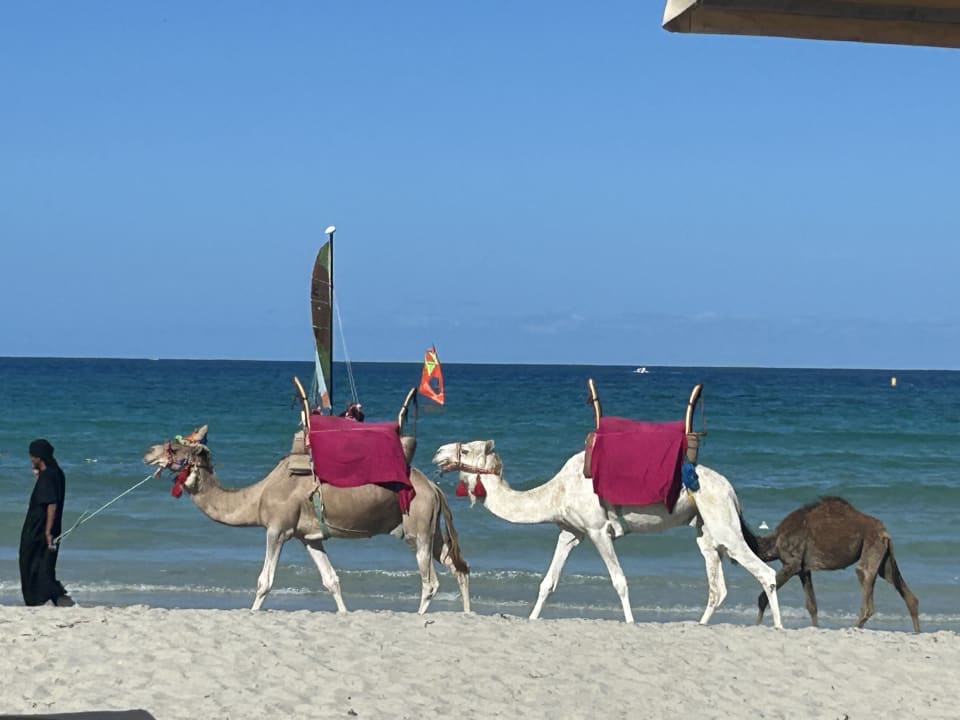 Strand Aldiana Club Djerba Atlantide