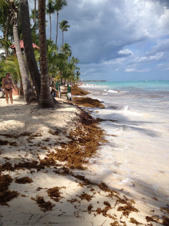 Strand Grand Palladium Punta Cana Resort & Spa