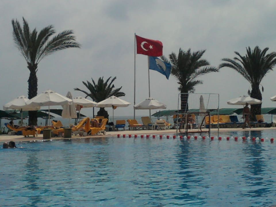 Pool mit Blick auf das Meer Papillon Belvil