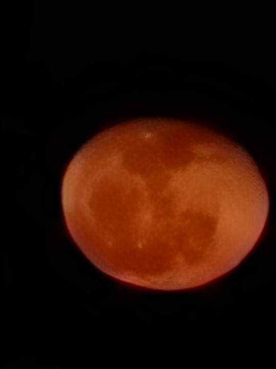 Sonstiges Shams Prestige Abu Soma-Adults Only