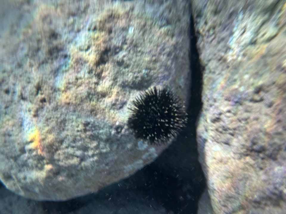 Strand Nana Golden Beach