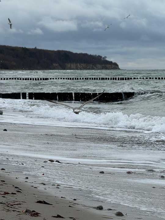 Strand Ringhotel Warnemünder Hof